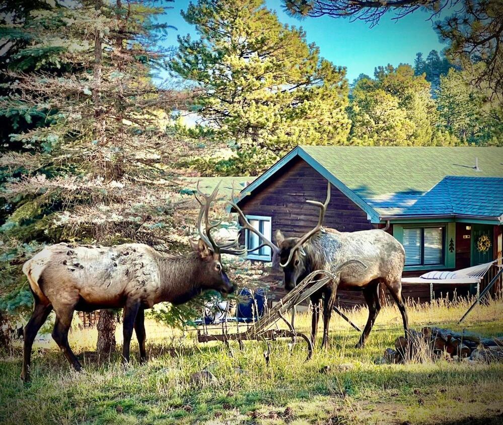 Mountain Shadows Resort Estes Park Eksteriør bilde