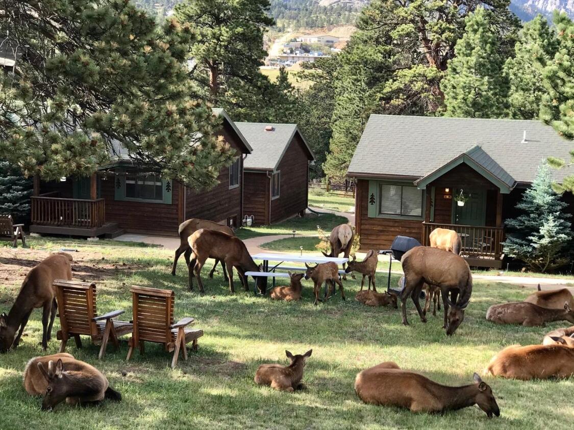 Mountain Shadows Resort Estes Park Eksteriør bilde