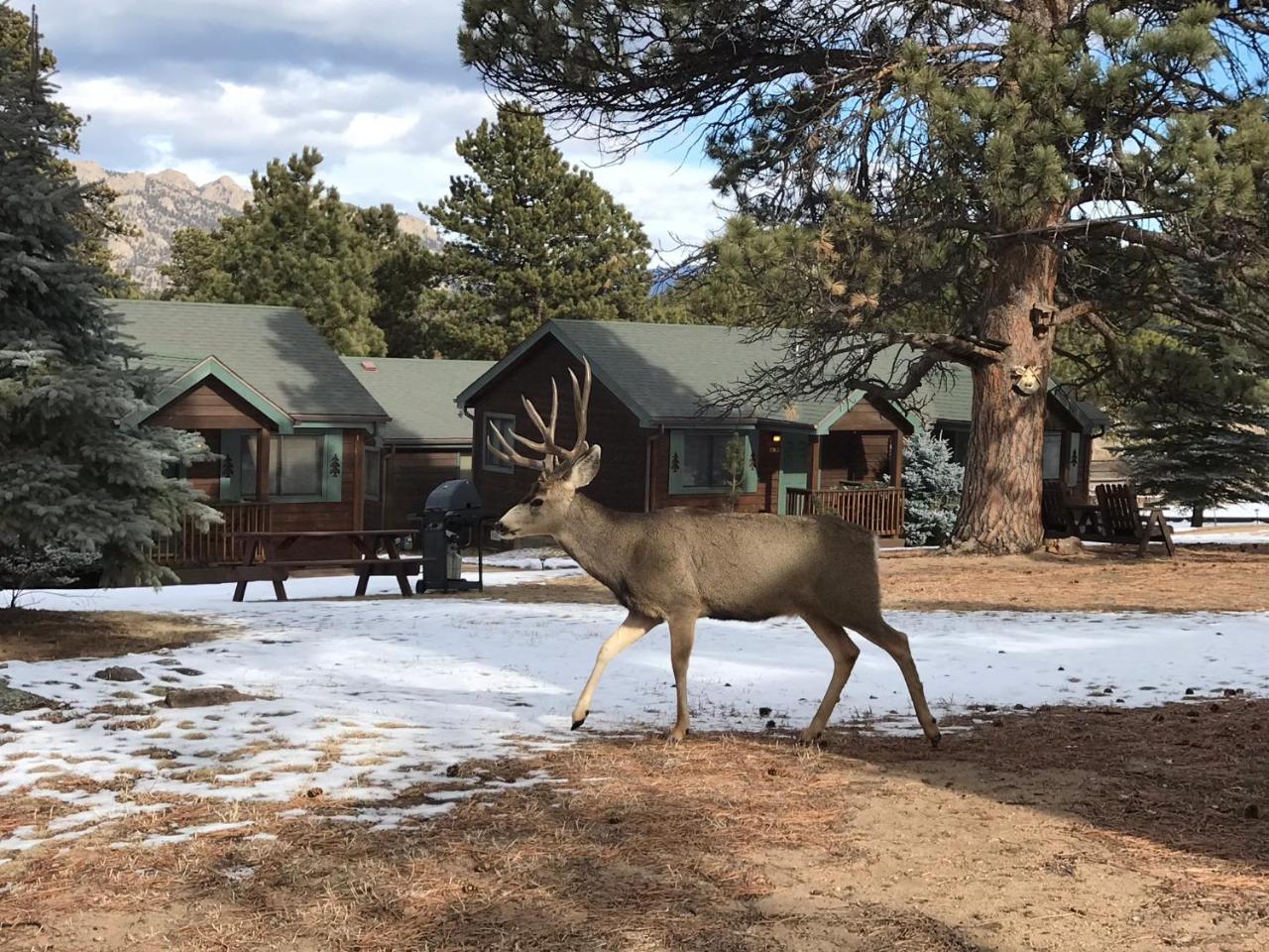 Mountain Shadows Resort Estes Park Eksteriør bilde