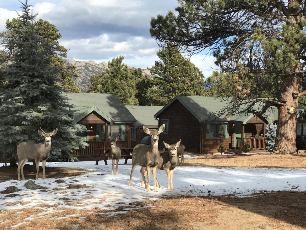 Mountain Shadows Resort Estes Park Eksteriør bilde